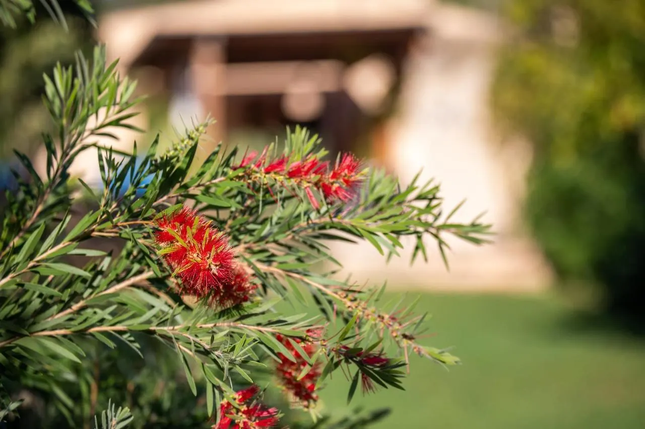 Holiday home Finca Fontanet Binifarda Felanitx