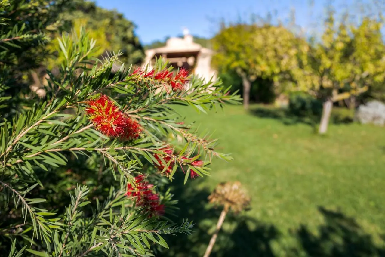 Finca Fontanet Binifarda Felanitx 0*,  Spain